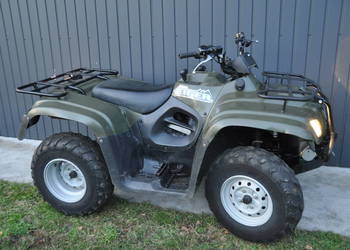 Suzuki Eiger400/07rok tgb polaris kymco cfmoto access Linhai dinli arctic c