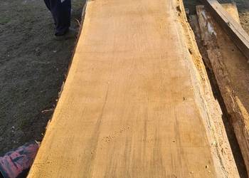 Deski Tarcica Dębowe