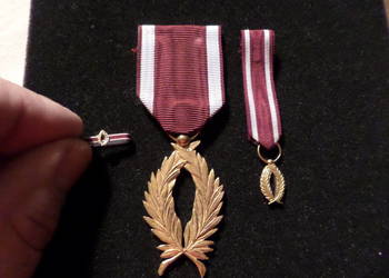 Palmy Orderu Korony - zestaw / Belgia