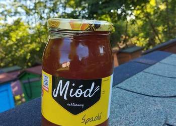 Miod  spadziowy