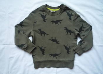 H&M r. 110/116 Zielona bluza Bluzka w Dinozaury Jak Nowa