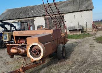 Prasa kostkujaca