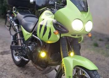 Triumph Tiger 955i