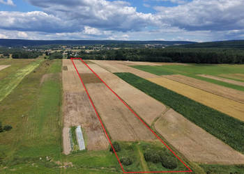 Oferta sprzedaży działki Bieliny 17918m2