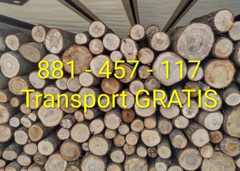 Drewno opałowe transport w cenie