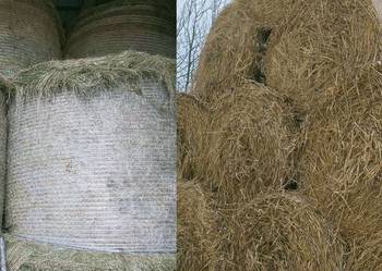 Siano. Słoma. Sianokiszonka. Bele siana słomy