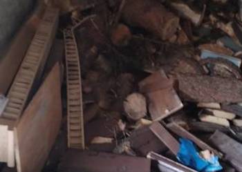 Węgiel orzech oraz drewno na rozpałkę.