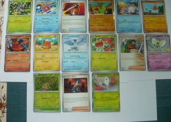 Karty Pokemon