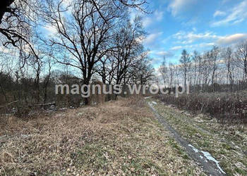 Oferuję działke rolną nad Bystrzycą, w Jerzmanowie