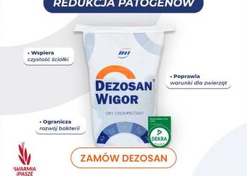 Dezosan Junior sucha kąpiel dla prosiąt higiena prosiąt 600kg