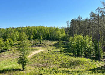 Działki budowlane w lesie nad wodą warmińsko-mazurskie
