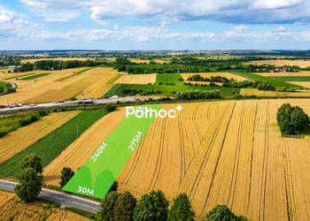 1 ha pola w granicach miasta Hrubieszów