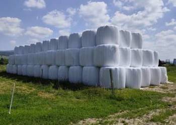 Bale bole bele