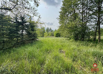 Oferta sprzedaży gruntu 2900m2 Kosmaty Borek