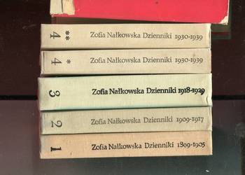 Dzienniki 1899-1939 4 T. w 5 vol. - Zofia Nałkowska