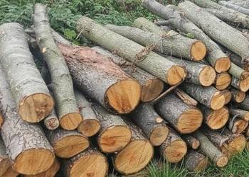 Drewno opałowe olcha olszyna