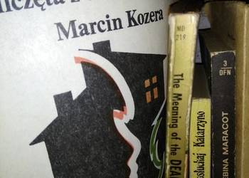 Wilczęta z czarnego podwórza Dąbrowska książki używane