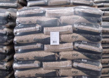 Pellet Olimp 6mm Propellet24 Opole