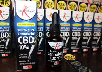 Olej konopny CBD 10% krople 30 ml Lucovitaal