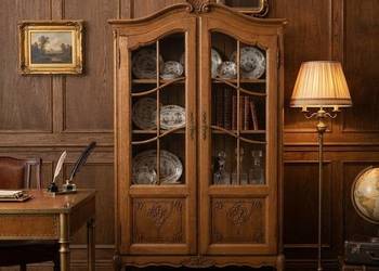 witryna / biblioteka ludwikowska . lity dąb