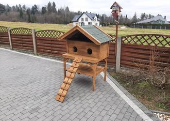 Buda dla dwóch kotów