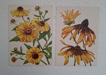 kwiaty , pocztówki z lat 70 tych