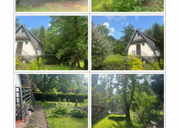 Syndyk sprzeda przeniesienie ogółu praw i obowiązków działkowca wynikający… Syndyk sprzeda przeniesienie ogółu praw i obowiązków działkowca wynikający…