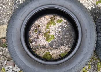 Opony zimowe wielosezonowe Old Gum Plus4 195x65x15