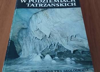 W podziemiach tatrzańskich / Stefan Zwoliński.
