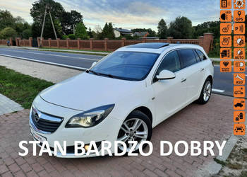 Opel Insignia / PEŁNA OPCJA / Serwis ASO / Zarejestrowana! A (2008-2017)