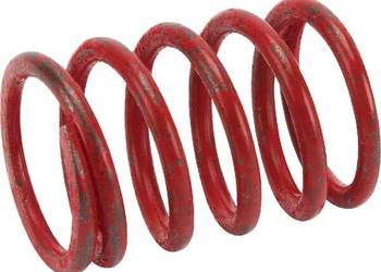 Sprężyna zaworu 691597