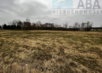 Działka na sprzedaż w miejscowości Dębicz gm. Kramsk