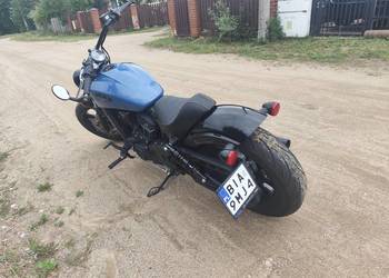 Indian Scout bober rogue  1133kM 2023