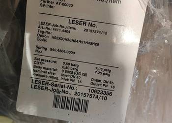 Zawór bezpieczeństwa LESER Dn 40