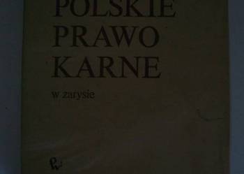 POLSKIE PRAWO KARNE - IGOR ANDREJEW