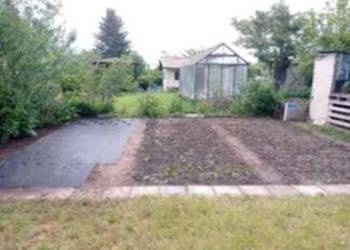 Działka Ogród Koszalin drzewa owocowe