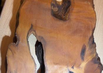 Plaster drewna Amboyna Wood