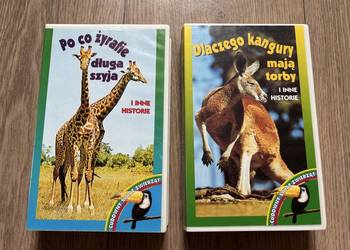Świat zwierząt, VHS, stare kasety video lata 90 dla kolekcjonera