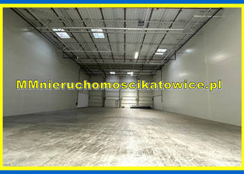 Hala produkcyjna, magazyn do wynajęcia Katowice brama "0" doki biura socja…
