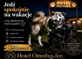 Hotel dla Psów