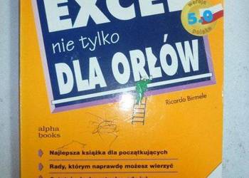 EXCEL NIE TYLKO DLA ORŁÓW - R.BIRMELE