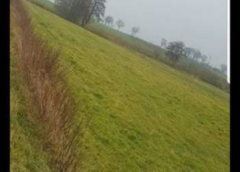 Sprzedam dzalke rolna łąka 4500m Ostroròg powiat szamotulski
