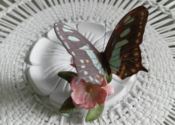 Porcelanowy motyl Franklin