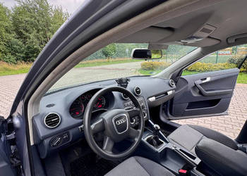 Audi A3 8P 1.9Tdi