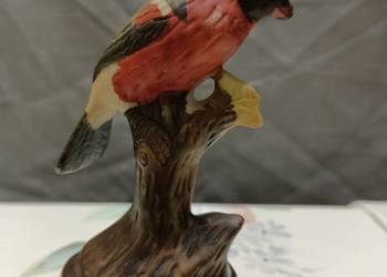 Ptak ptaszek BUBUFINCH