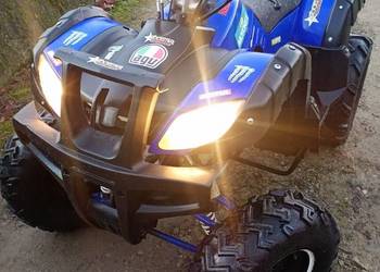 Quad 200 1+WSTECZNY AUTOMAT