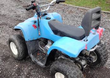 Quad ATV 110