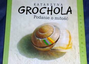 Podanie o miłość - Katarzyna Grochola