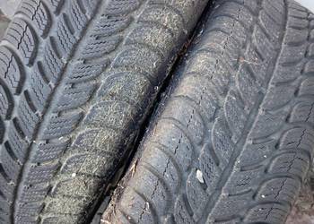 Dębica 195/65R15 Zima