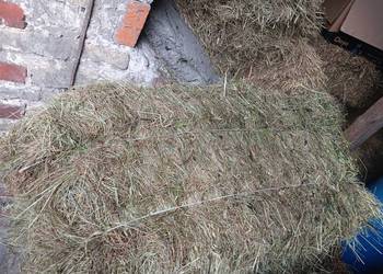 Siano w kostkach snopki